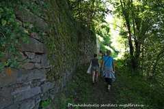 29_P7180044-sentier