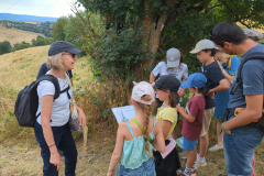IMG_20250718_105002