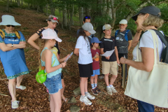 IMG_20250718_113014
